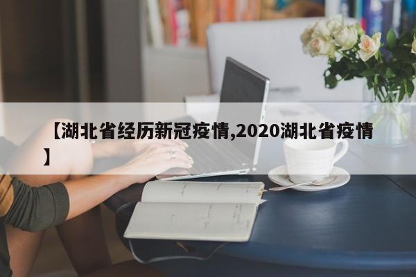 【湖北省经历新冠疫情,2020湖北省疫情】